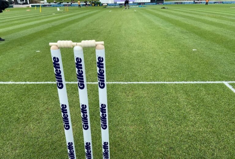 Twitter reactions to incredibly green pitch at Hamilton