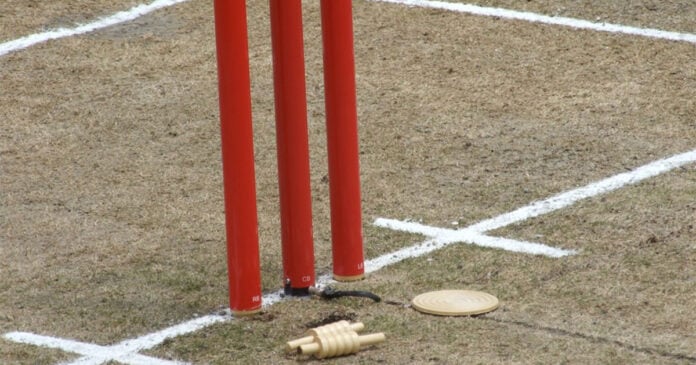Cricket News: Will cricket be part of the Olympics? | Cricket using Commonwealth Games for Olympics springboard
