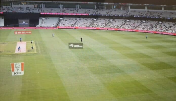 Cricket News: 