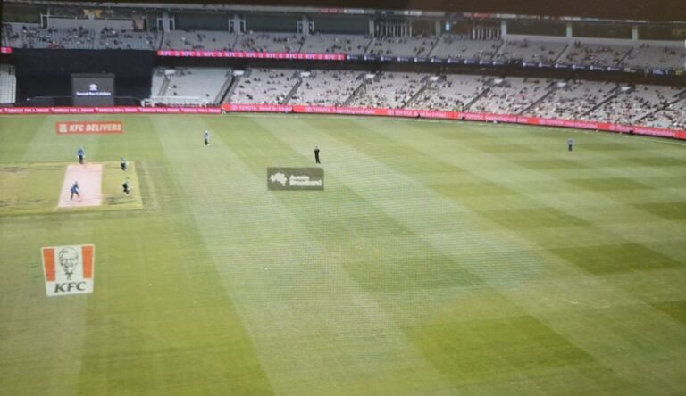 “More seagulls than fans!” Record low crowd at MCG in BBL 11