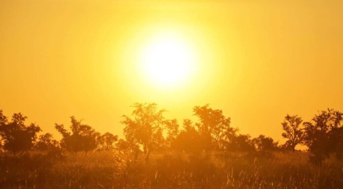 Cricket News: Multan weather for PAK-WI ODIs: Temperatures to reach 45 degrees | Temperatures will reach about 45 degrees in Multan | Multan weather for PAK vs WI 1st ODI
