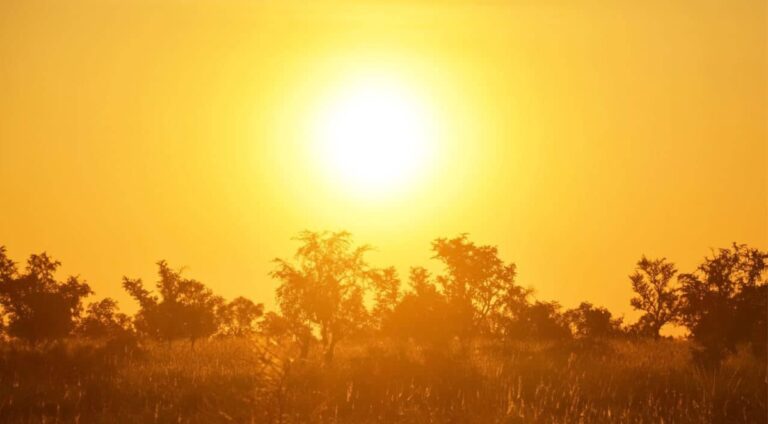 Multan weather for PAK-WI ODIs: Temperatures to reach 45 degrees