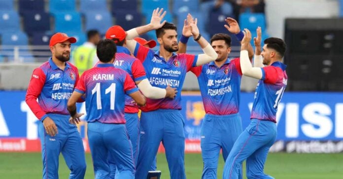 Cricket News: Afghanistan cricket board in financial trouble | ICC funds not reaching Afghanistan due to international sanctions