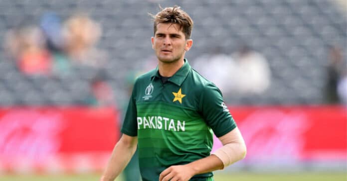 Cricket News: Which Pakistan players are affected from illness? | Several Pakistan players reportedly battling viral bacterial infection