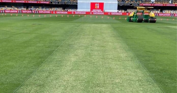 Cricket News: Gabba pitch rated 