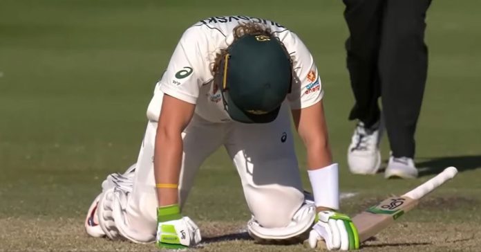 Cricket News: The future of Will Pucovski to be decided in the coming weeks after the batsman suffered another concussion back in March
